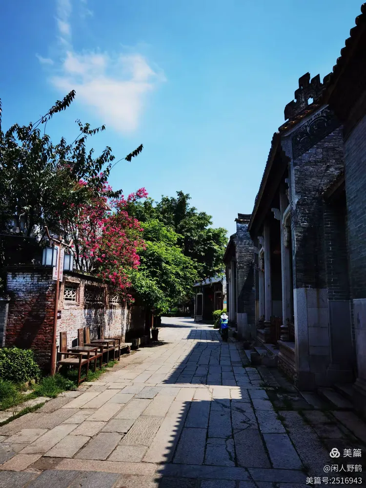 走进黄埔村